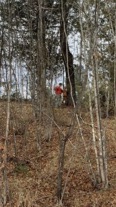 thumbnail_IMG_2546